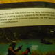 Illustration for article titled If Only The Avatar Game Manual Was This Amusing